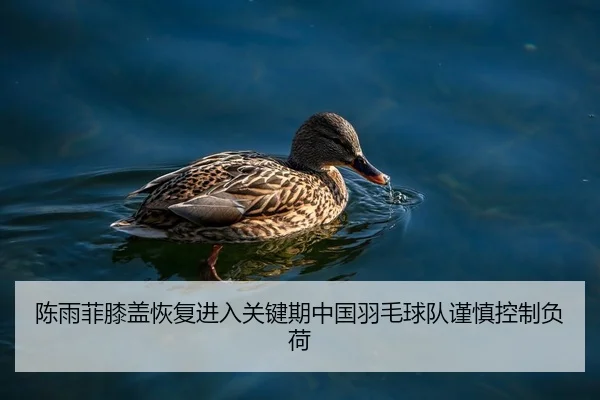 陈雨菲膝盖恢复进入关键期中国羽毛球队谨慎控制负荷